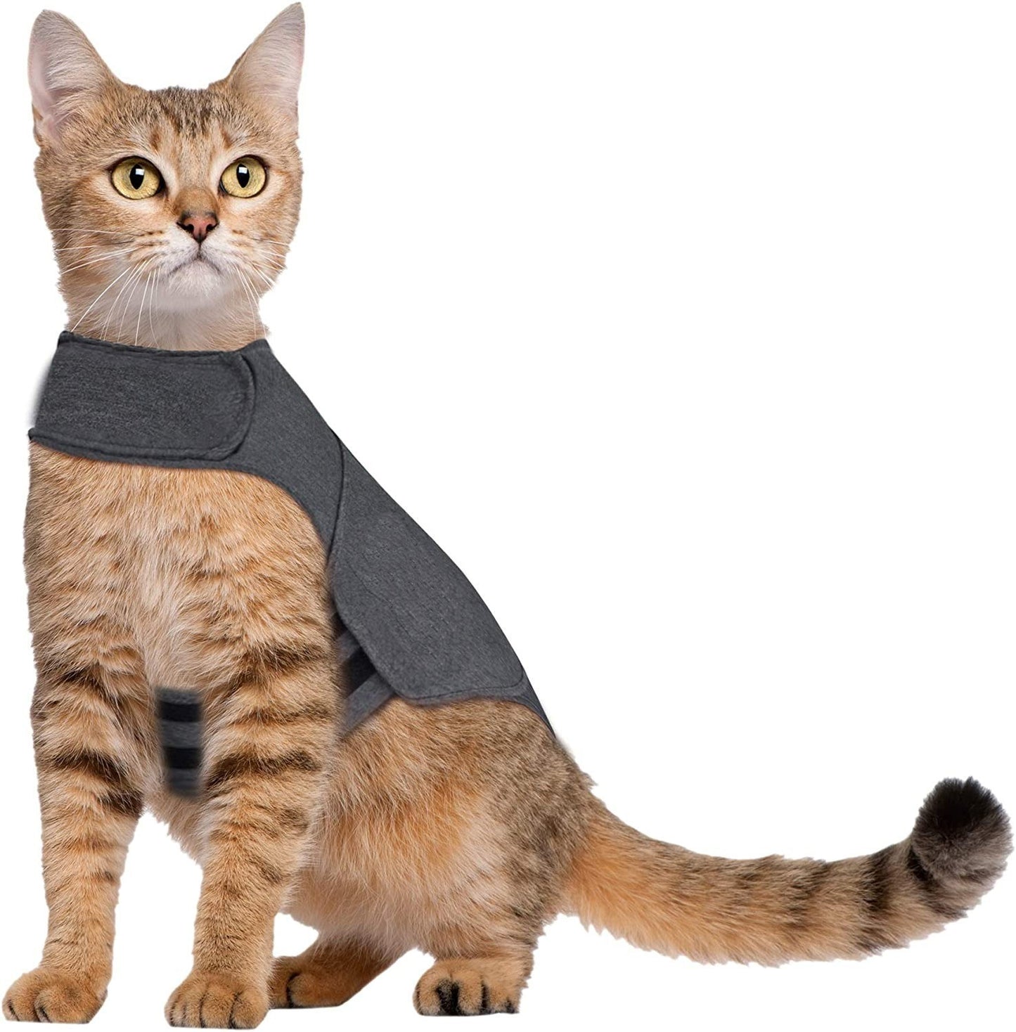 Pet Cat Summer Vest