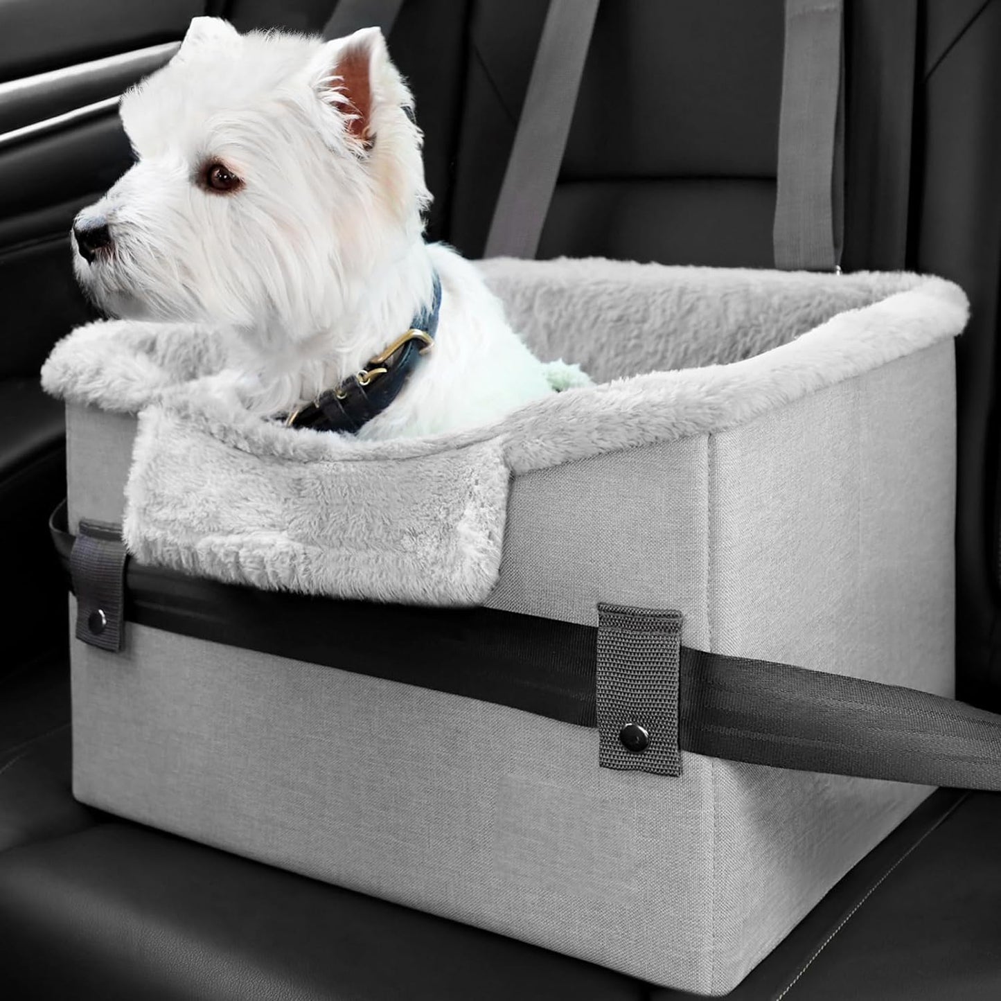 Portable Car Seat With Clip-On Safety Leash