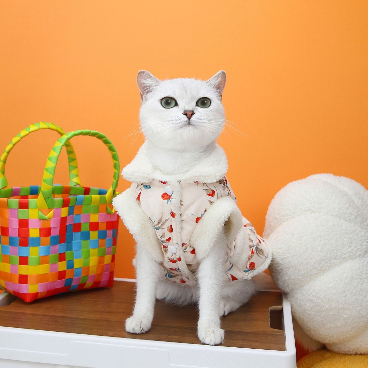 Casual Pet Cat Clothes