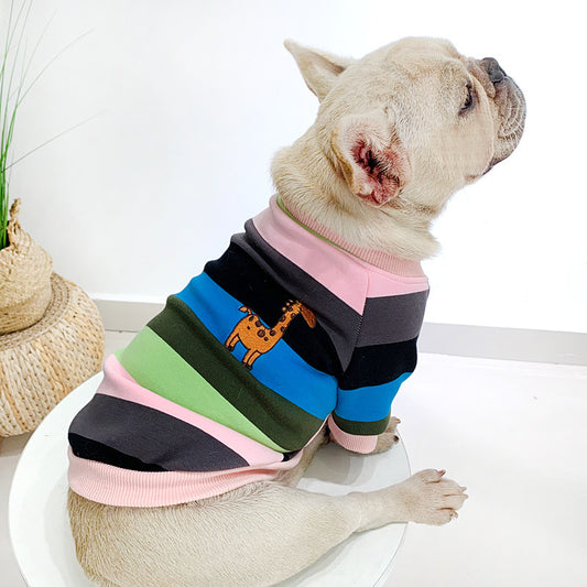 Rainbow Pet Clothes