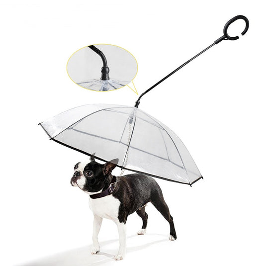 Adjustable Transparent Pet C Type Umbrella
