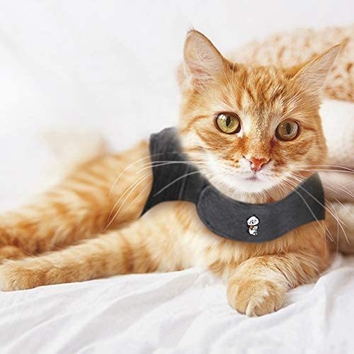 Pet Cat Summer Vest
