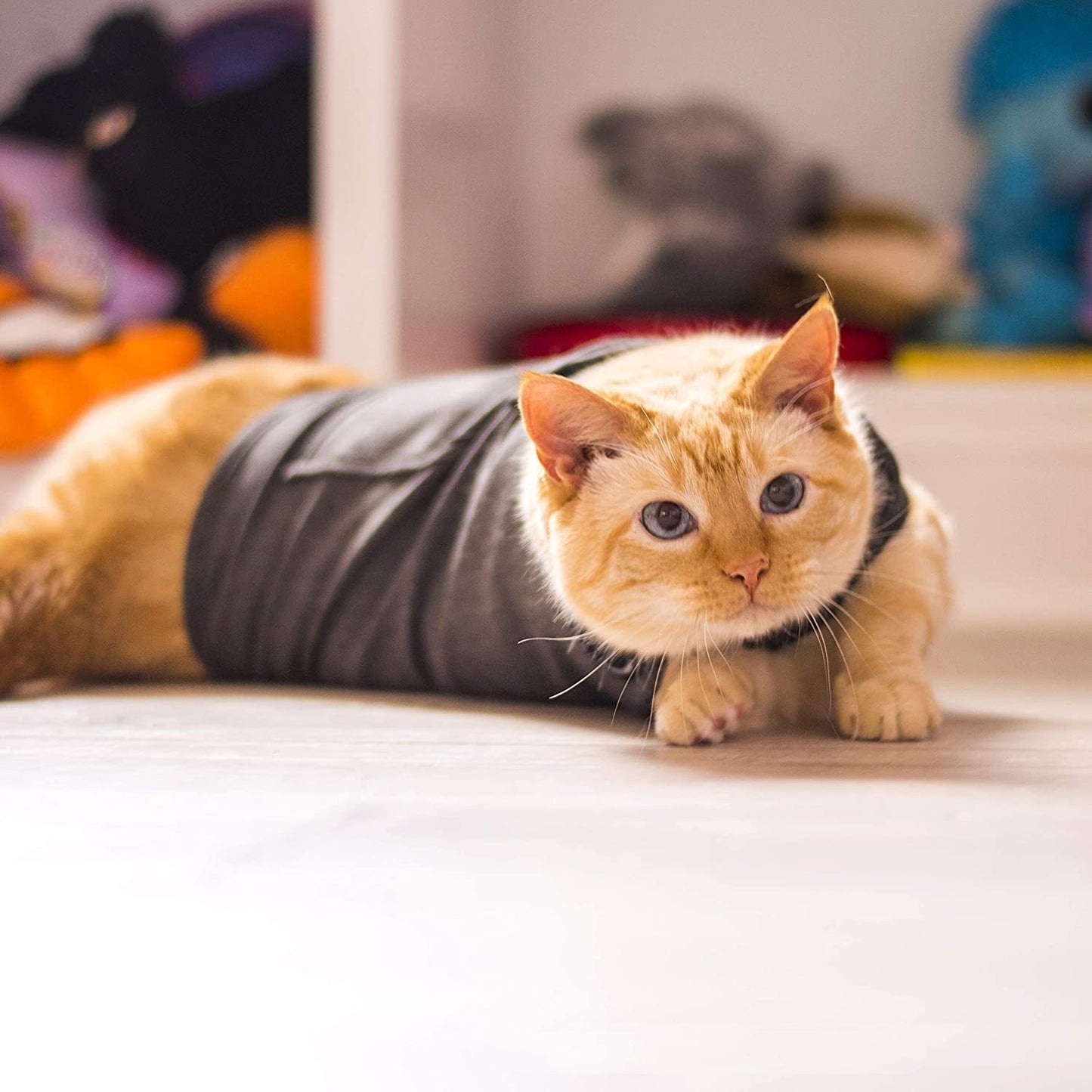 Pet Cat Summer Vest